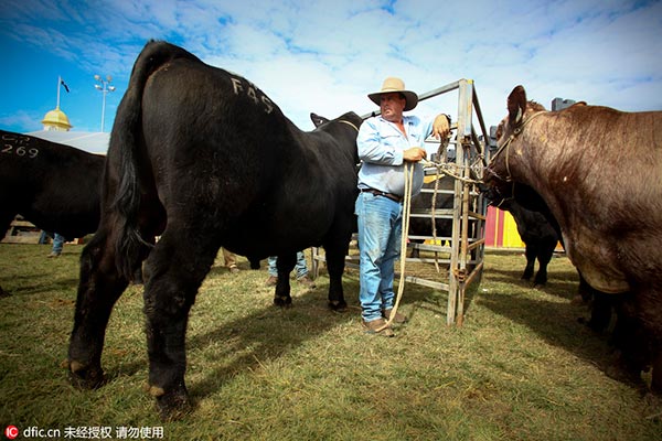 Shanghai Pengxin to buy Australian cattle rancher for $288m