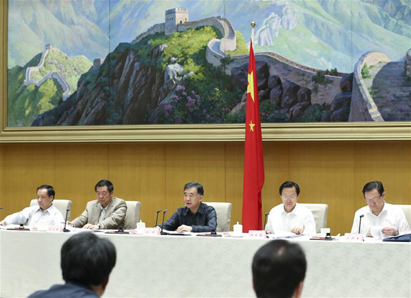 Chinese vice premier urges poverty relief via industrial development