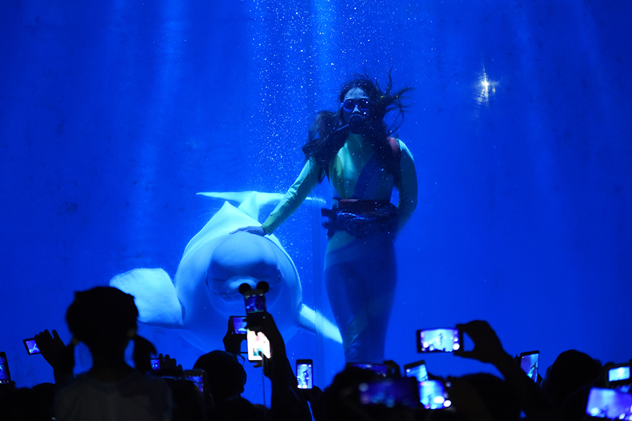 Post-90's girl performs with beluga whale at Harbin Polarland