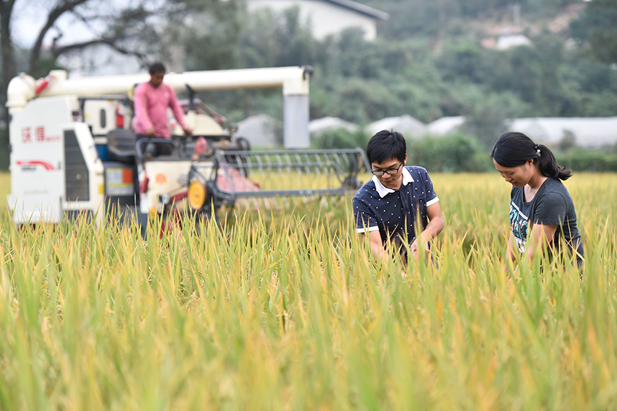 Young couple choose village life over big city