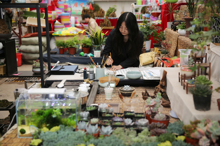 Florist turns live succulents into wall art