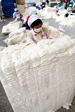Cotton prices to extend rally