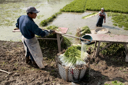 Oriental Land refutes Shanghai park stories