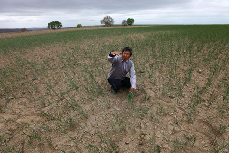 Drought stunts crop growth