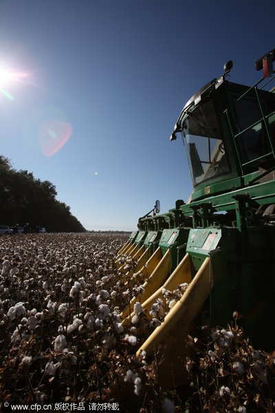 Xinjiang sees bumper cotton harvests