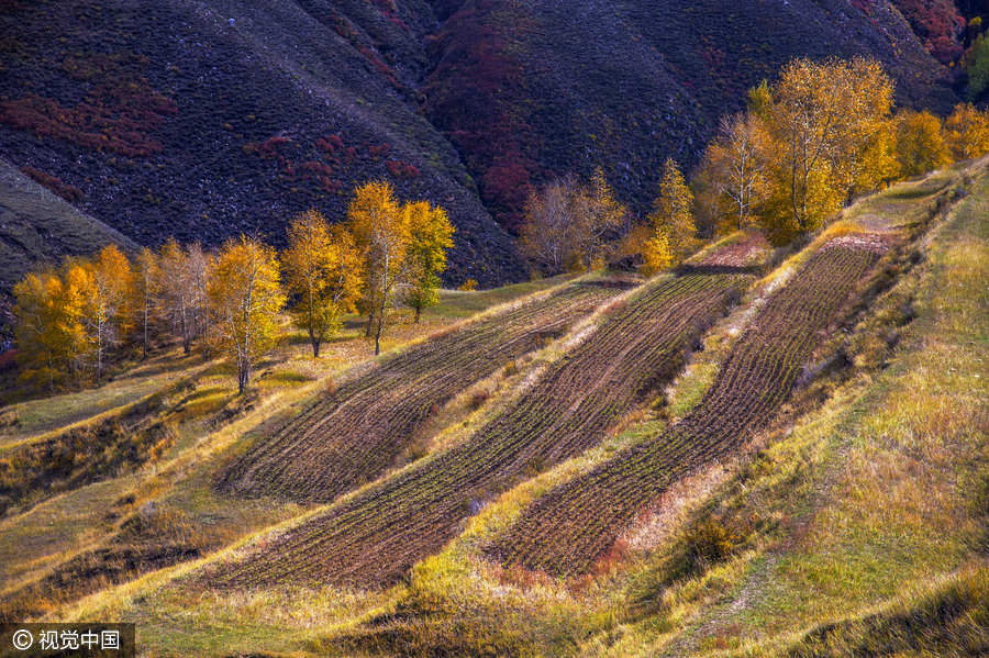 Top 10 scenic spots during National Day holiday