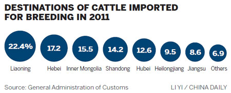 Country to wean itself off dairy cattle imports