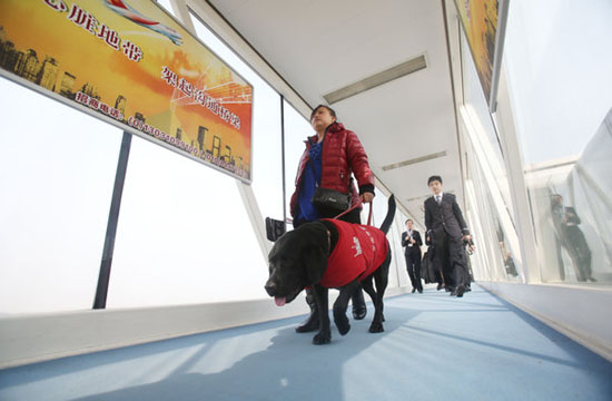 Guide dog travels with its master by air