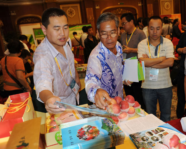 Improving Chinese brand awareness in ASEAN markets