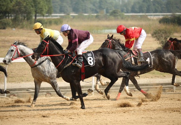Horse betting, a potential business in China?