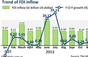 FDI registers healthy growth