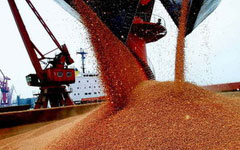 China to continue grain imports
