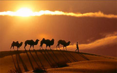 19 cities to develop Silk Road tourism