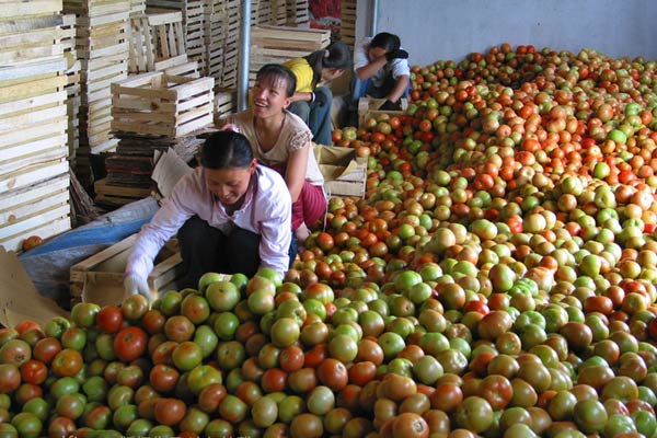 China willing to expand agro produce trade with Russia