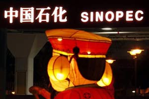 Sinopec partners with online retailer in e-commerce push