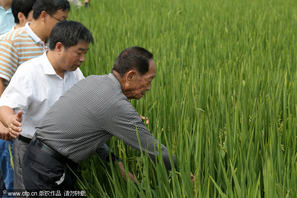 Chestnut, peanut and rice farmers of China