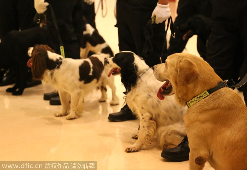 Patrol dogs ready for Davos security inspection