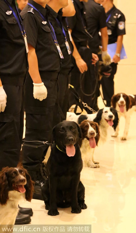 Patrol dogs ready for Davos security inspection