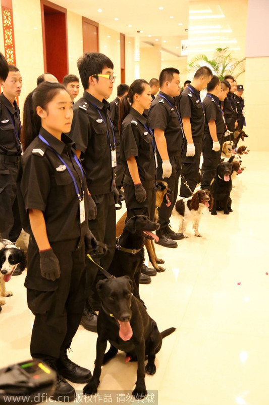 Patrol dogs ready for Davos security inspection