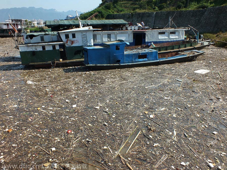 Garbage chokes Three Gorges Reservoir