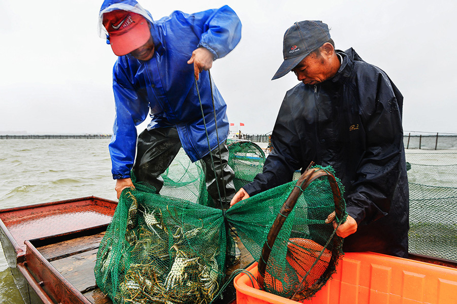 Yangcheng Lake crabs make their way to Beijing