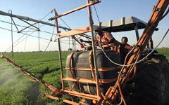 China's Jilin province seeks agro cooperation with Zambia