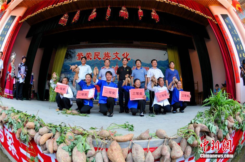 Village holds 'beauty contest' for sweet potatoes