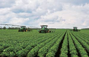 China's agriculture under challenges: official