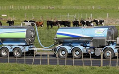 Milk firm plans to revolutionize dairy sector