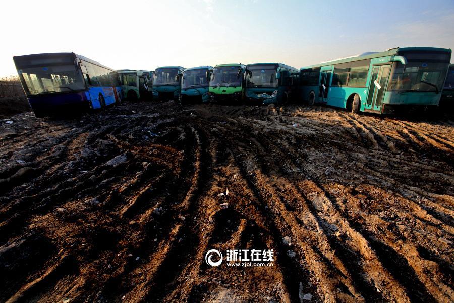 'Graveyard’ for aging buses in Hangzhou