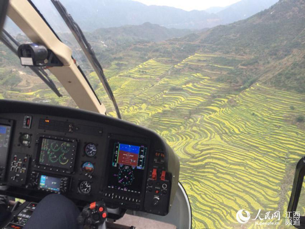 Helicopter service for appreciating rapeseed flowers