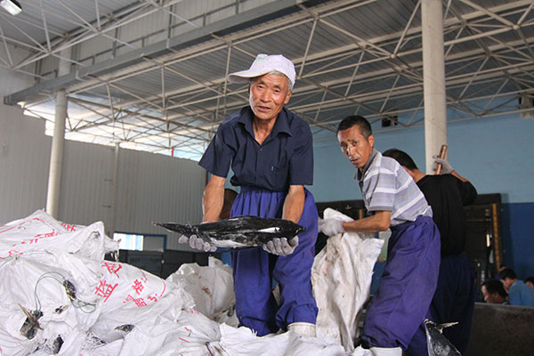 Shandong weaves e-commerce into ocean economy