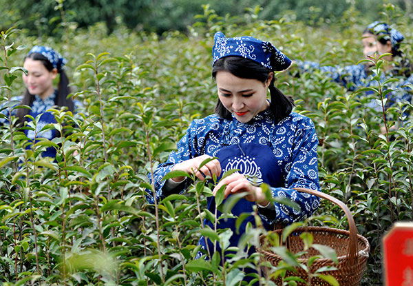Jiangxi growers ready to spread their flavors around the world