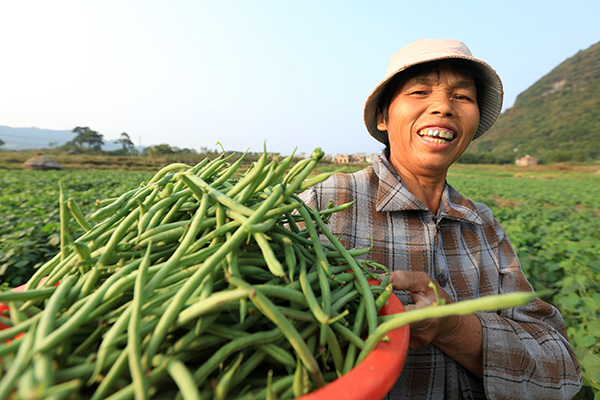 Vegetable traders to boost exports to Russia, Central Asia