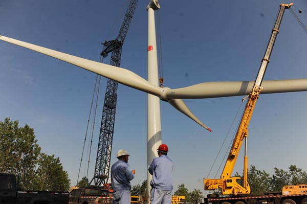 China to become global leader in renewable technology: expert