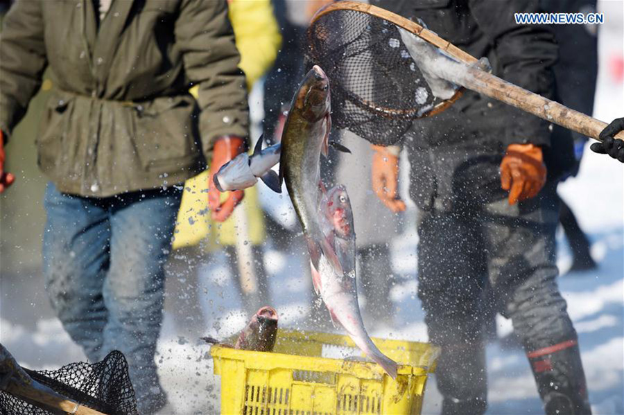 Winter fishing in ice-covered Changling Lake in Harbin