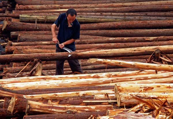 US hardwood exports to China rise