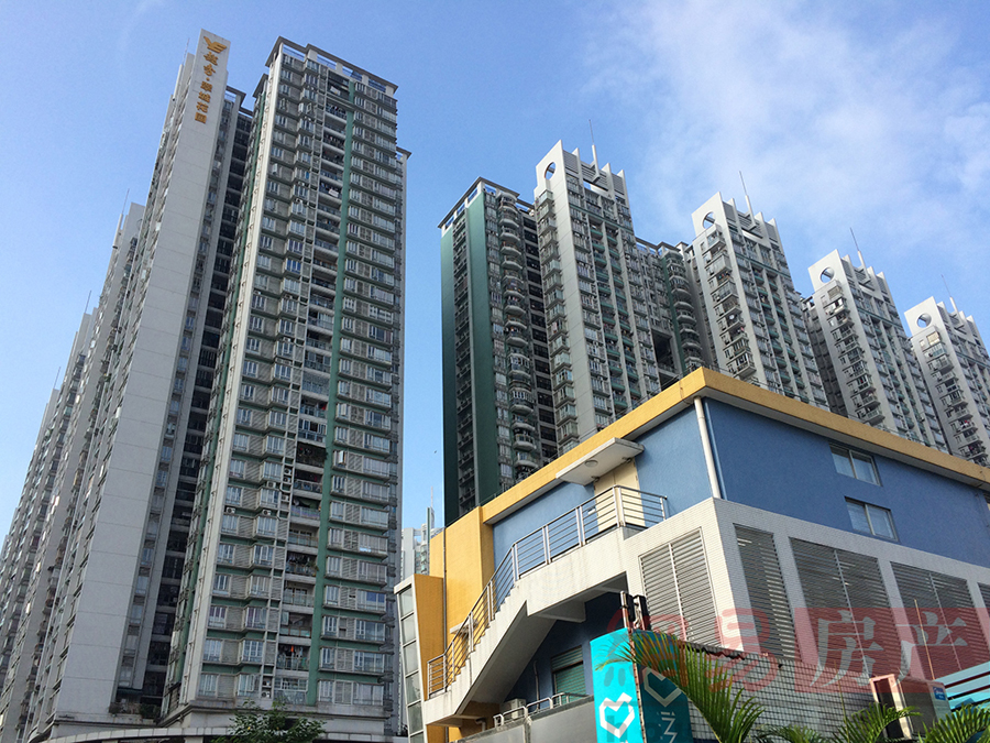 Golden touch: Realty agent nets $12m in sales revenue in six months