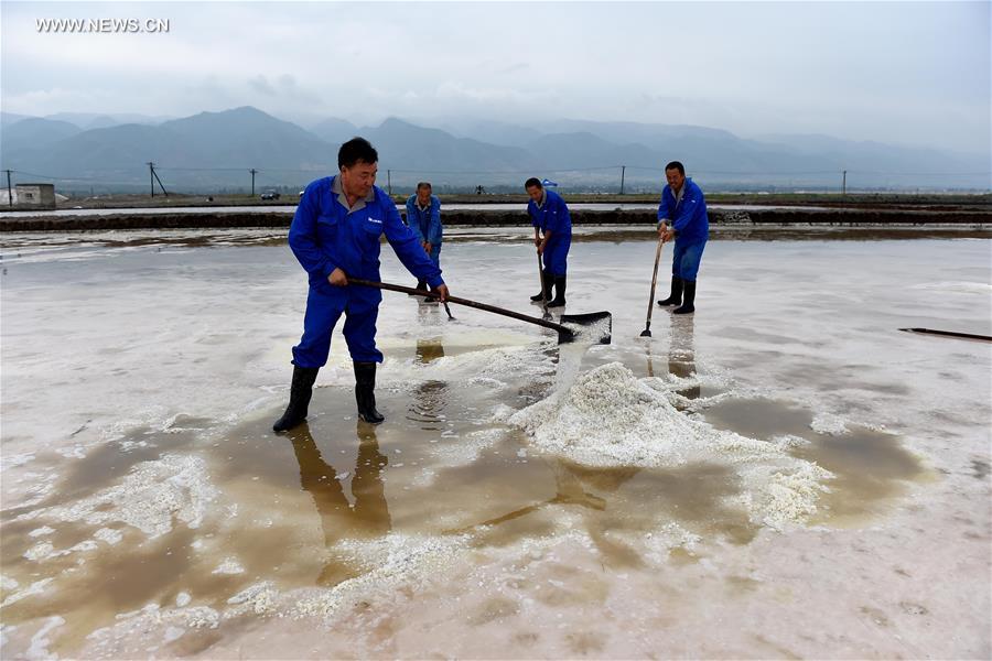 Salt Lake of Yuncheng restarts production in N China's Shanxi
