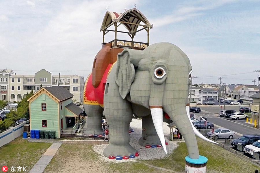 Amazing animal-shaped buildings in the world