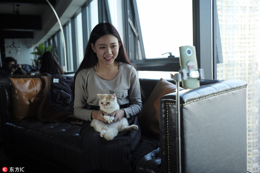 'Dream factory' for online celebrities
