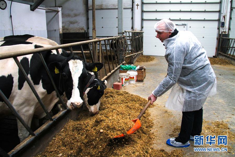 Polish dairy farmer wants to tap Chinese market