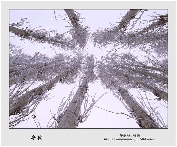Photo selections of Zou Yongsheng
