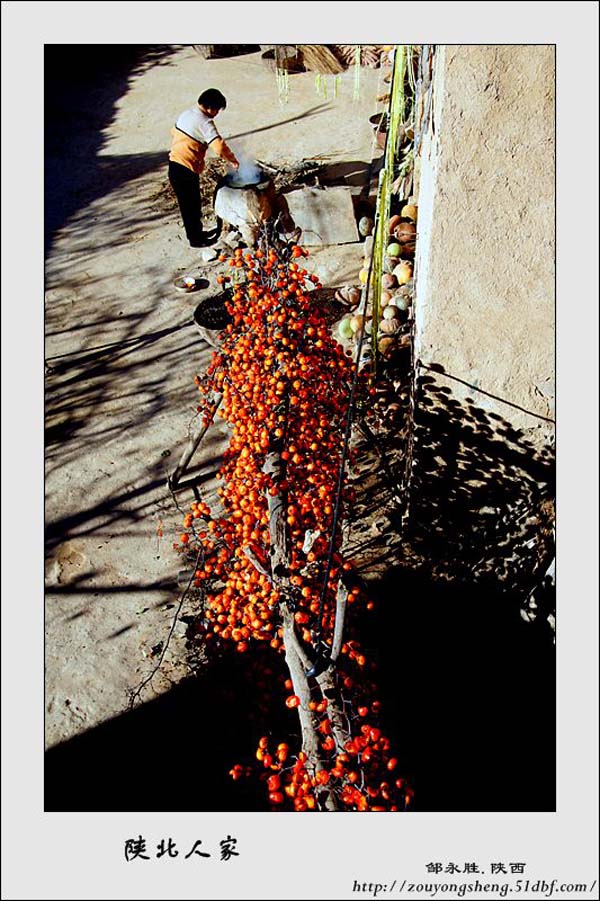 Photo selections of Zou Yongsheng