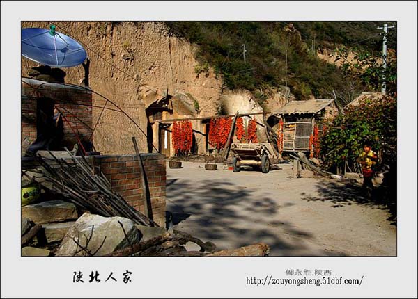 Photo selections of Zou Yongsheng