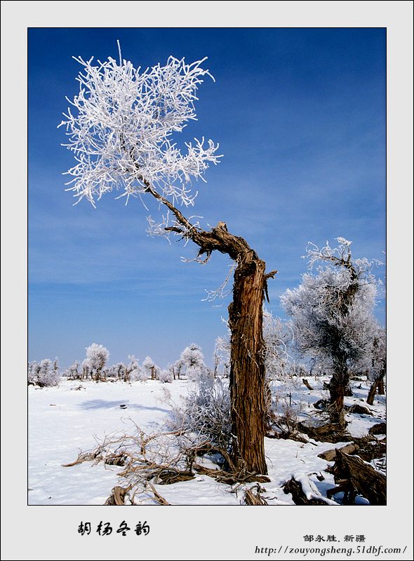 Photo selections of Zou Yongsheng