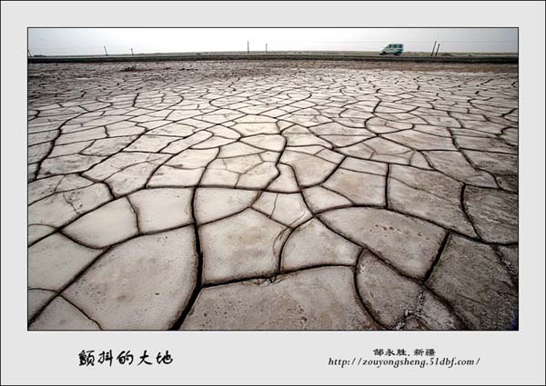 Photo selections of Zou Yongsheng
