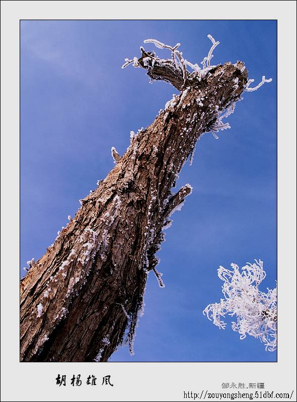 Photo selections of Zou Yongsheng