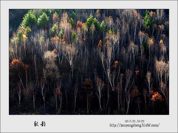 Photo selections of Zou Yongsheng