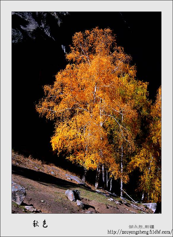Photo selections of Zou Yongsheng